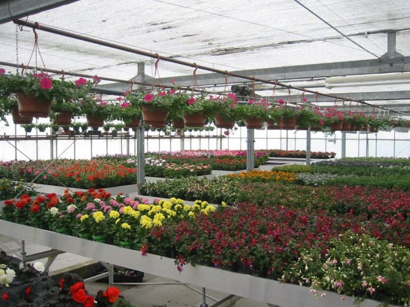tuinmarkt mei 2018