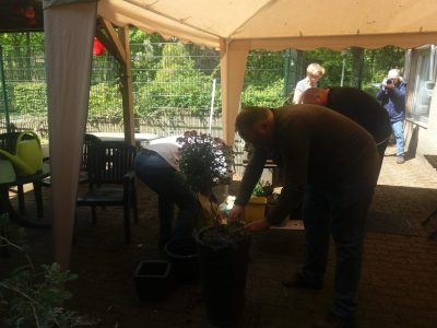 voorjaarsbloeiers 3