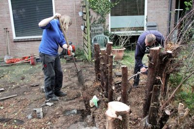 Tuinverbouwing Werk Centraal verkleind