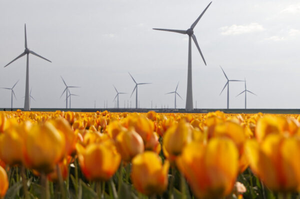 Flevoland de Creatie.